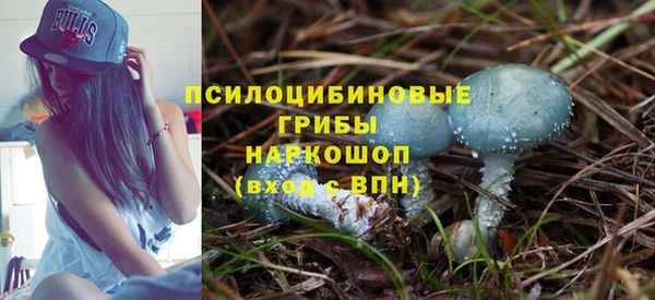 амф Гусь-Хрустальный