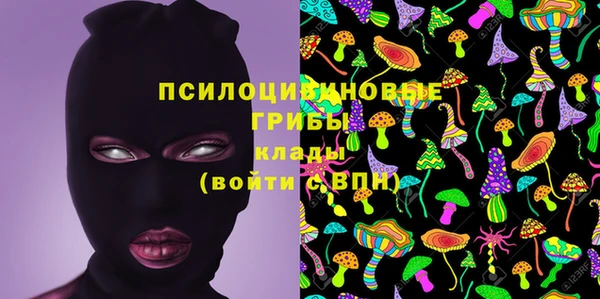 таблы Горняк