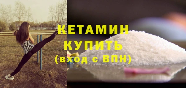 амф Гусь-Хрустальный